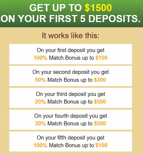 Golden Tiger Casino bonuses